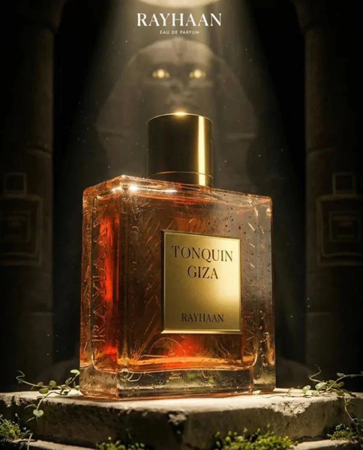Rayhaan Tonquin Giza Eau De Parfum - Exotic Journey & Musk - Image 3