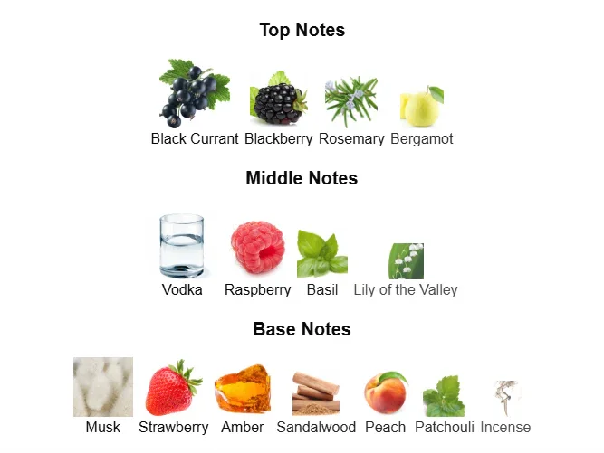 Vulcan Baie 100ml EDP for a Bold & Refined Scent - Image 4